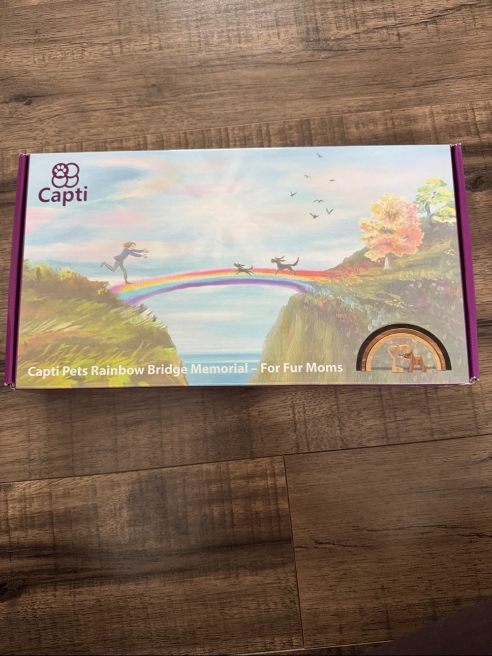 NWT Capti Pets Rainbow Bridge Memorial - Pastel Rainbow Art